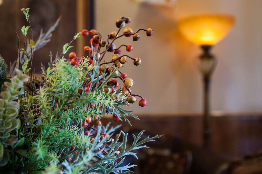 O'Brien Riverwalk Boutique Hotel San Antonio Interiér fotografie